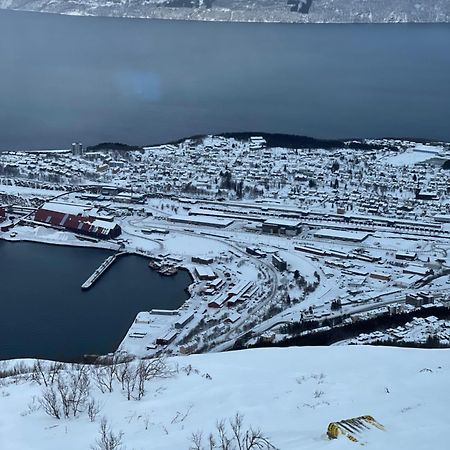 Apartament Narvik Sentrum Zewnętrze zdjęcie